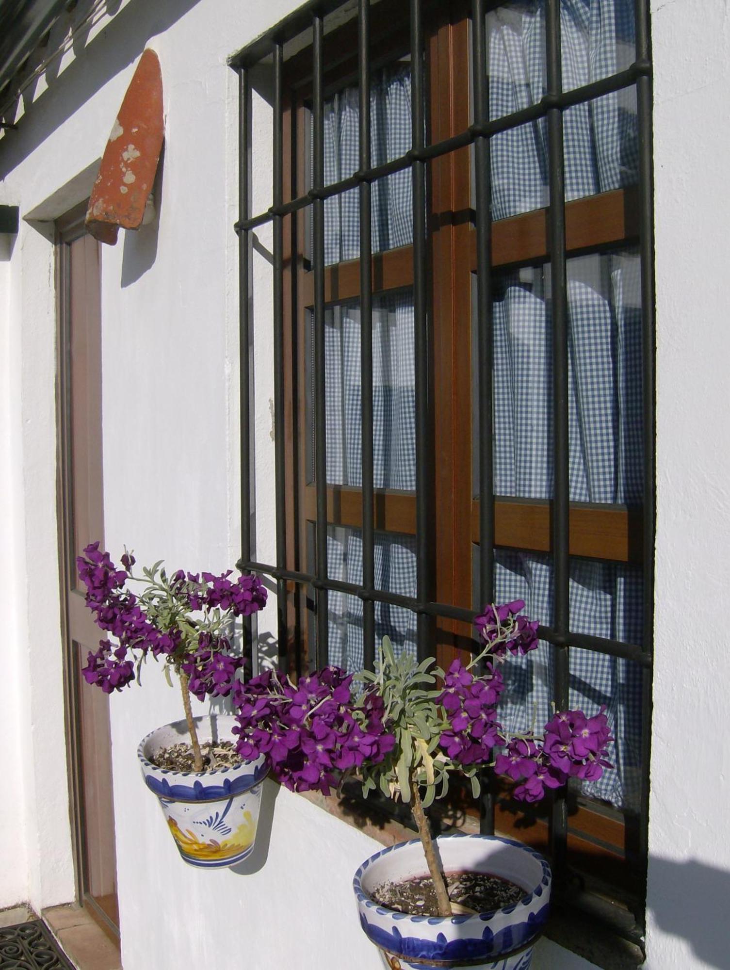 알라니스 Casa Rural Y Restaurante Casa Adriano 게스트하우스 외부 사진