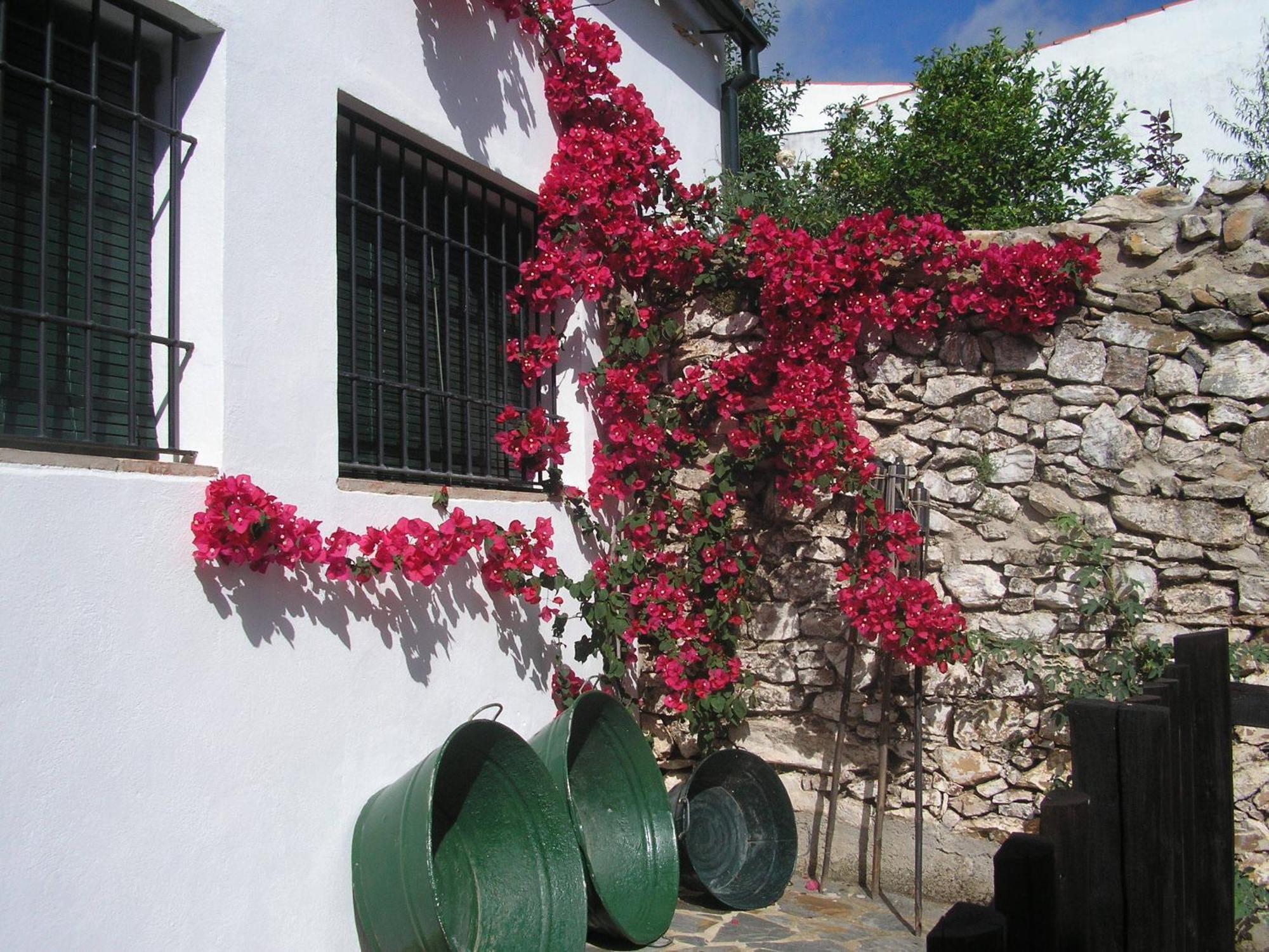 알라니스 Casa Rural Y Restaurante Casa Adriano 게스트하우스 외부 사진